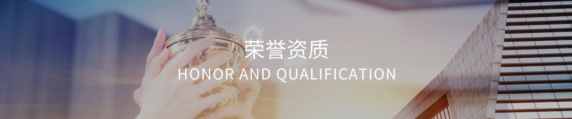 濟(jì)南維曼斯安防技術(shù)有限公司
